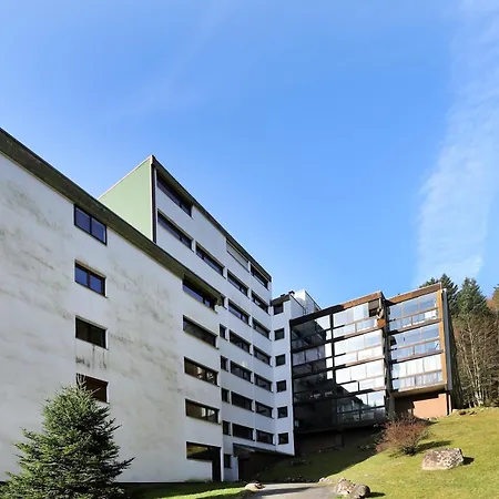 Le Ptit Vosgien - Appt A 15min Des Pistes Apartment La Bresse